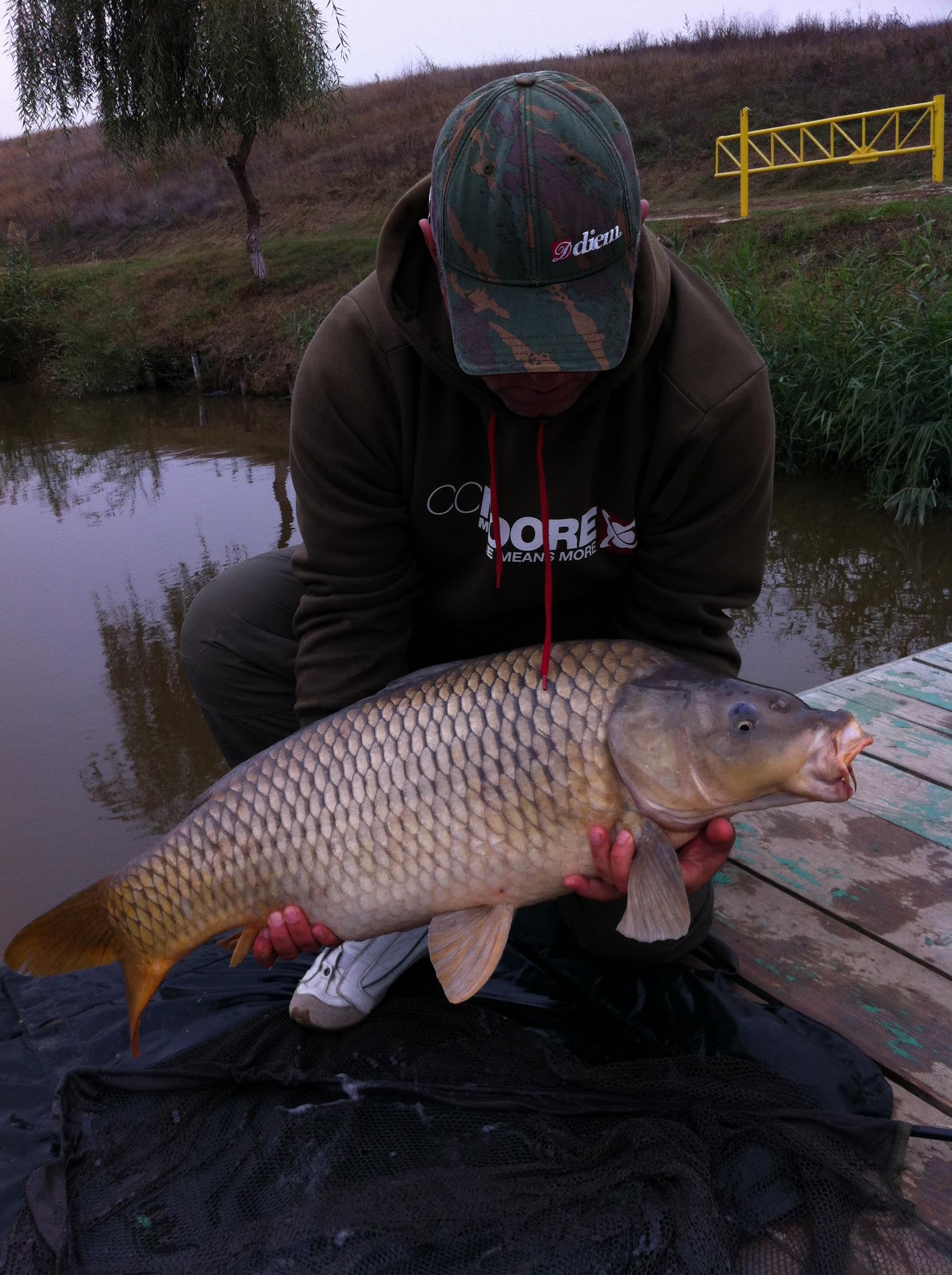 Moara Vlasiei - 2175.JPG